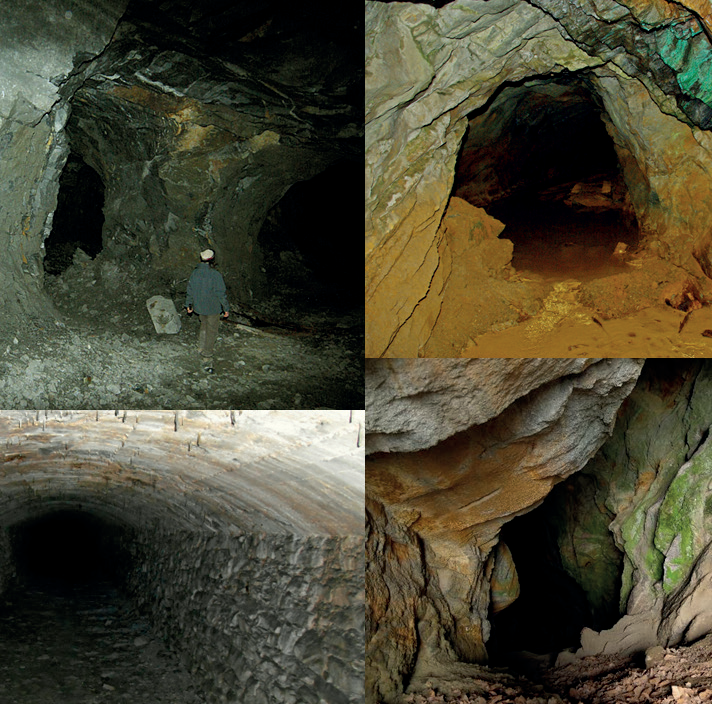 Colonia riproduttiva