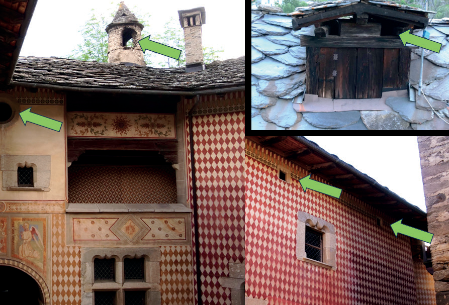 Colonia riproduttiva