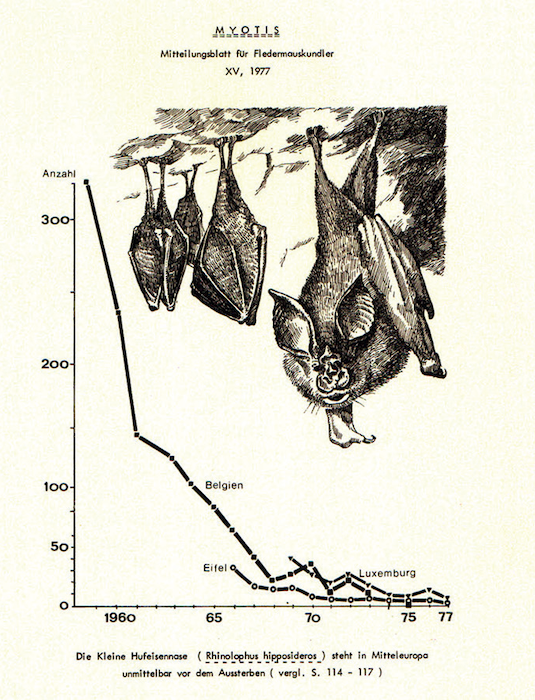 Colonia riproduttiva