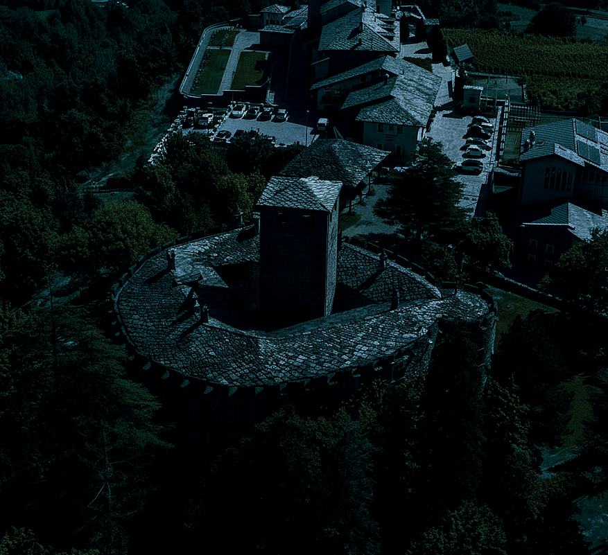 Colonia riproduttiva